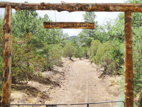 Baby Bison! – Pearson Ranch Jerky