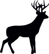 Wholesale Venison Items
