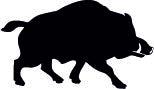 Wholesale Wild Boar Items