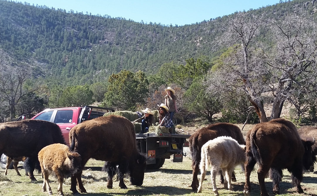 Contact Us – Pearson Ranch Jerky