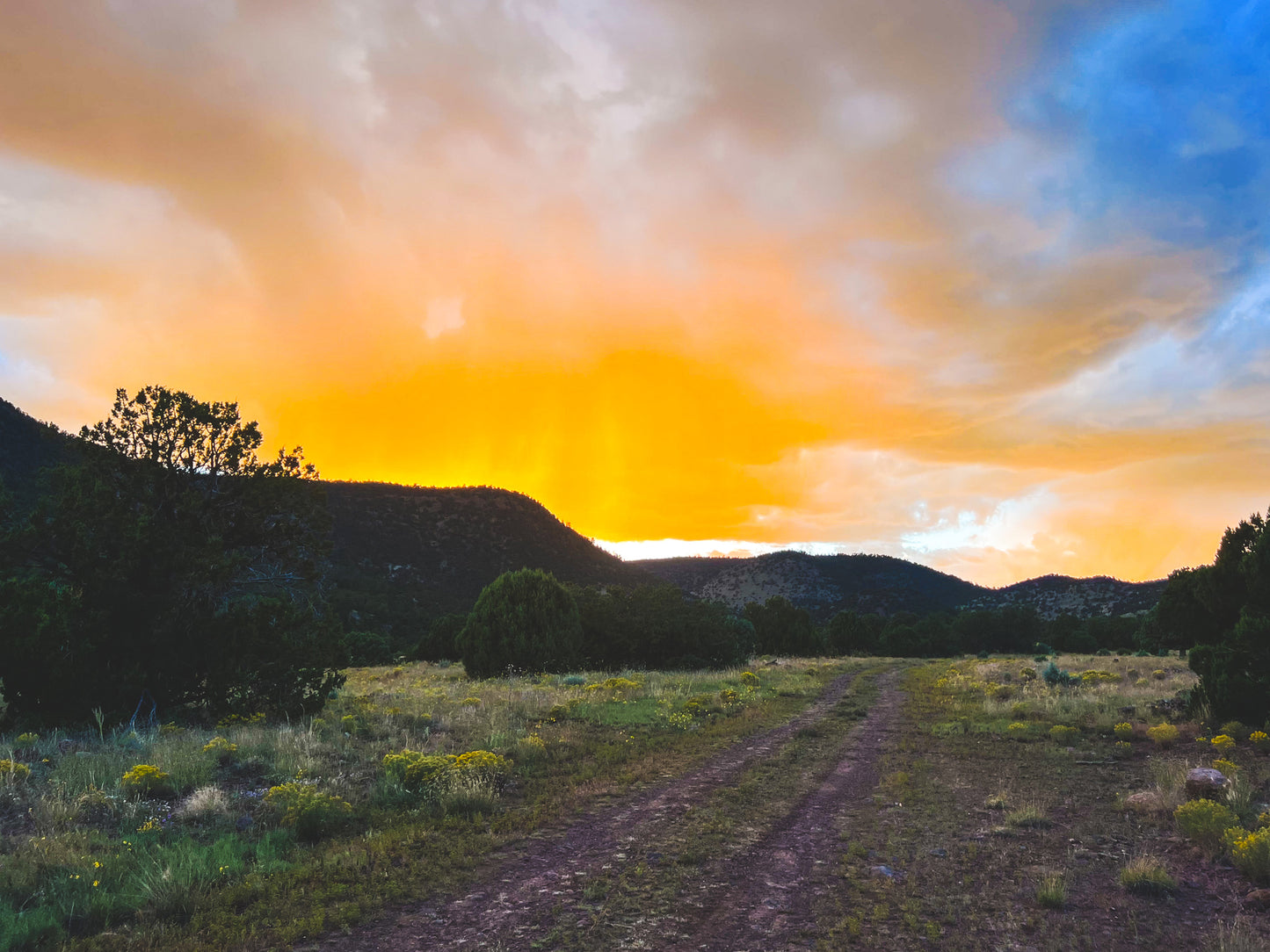Pearson Ranch